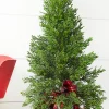 Store 24” Cedar Tree In Plaid Sack Christmas Accents