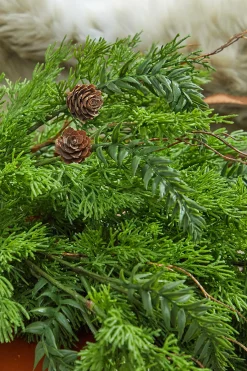 Clearance 32” Christmas Cedar/Hemlock Swag Christmas Teardrops