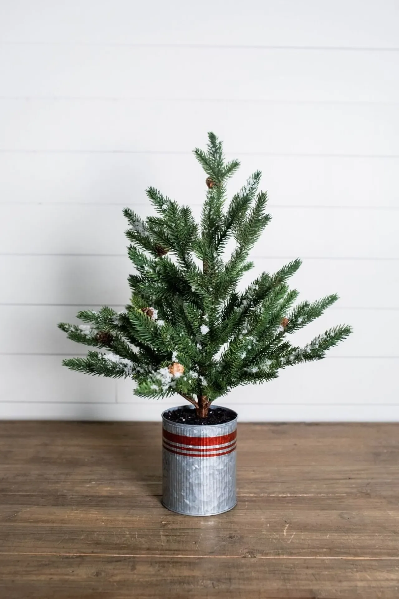 Shop 24” Farmhouse Potted Snowy Pine Tree Christmas Accents