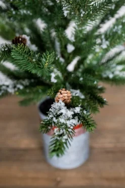 Shop 24” Farmhouse Potted Snowy Pine Tree Christmas Accents