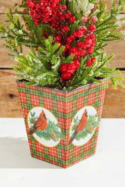 Fashion 26" Frost Weatherproof Berry Mini Spruce Tree In Pot Christmas Accents