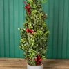 Discount 20” Holiday Potted Boxwood Tree W/ Berry Christmas Accents