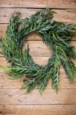 Clearance 24” Iced Garden Norfolk Pine Wreath Christmas Wreaths|Natural Greenery