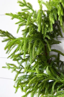 Best 24” Just Cut Norfolk Pine Wreath Christmas Wreaths|Natural Greenery