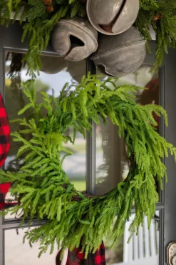 Best 24” Just Cut Norfolk Pine Wreath Christmas Wreaths|Natural Greenery