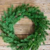 Flash Sale 24” Just Cut Spruce Wreath Christmas Wreaths