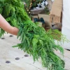 Flash Sale 72” Luxury Cyprus Norfolk Swag Christmas Teardrops|Natural Greenery