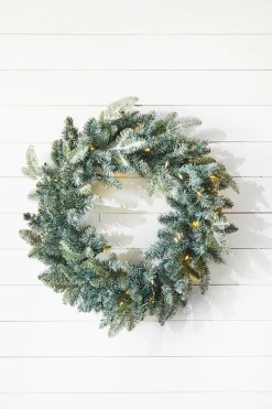 Cheap 22" Park Hill Frosted Blue Spruce LED Wreath Christmas Wreaths