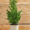 Cheap 18" Plastic Cypress Tree In Tin Pot Christmas Accents