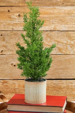 Cheap 18" Plastic Cypress Tree In Tin Pot Christmas Accents