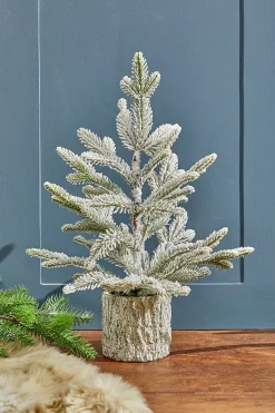 Outlet 18" Potted Noble Fir Tree With Snow Christmas Accents