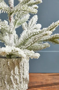 Outlet 18" Potted Noble Fir Tree With Snow Christmas Accents