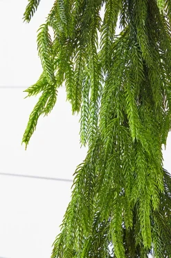 Shop 72” Real Touch Norfolk Pine Garland Christmas Garlands|Natural Greenery