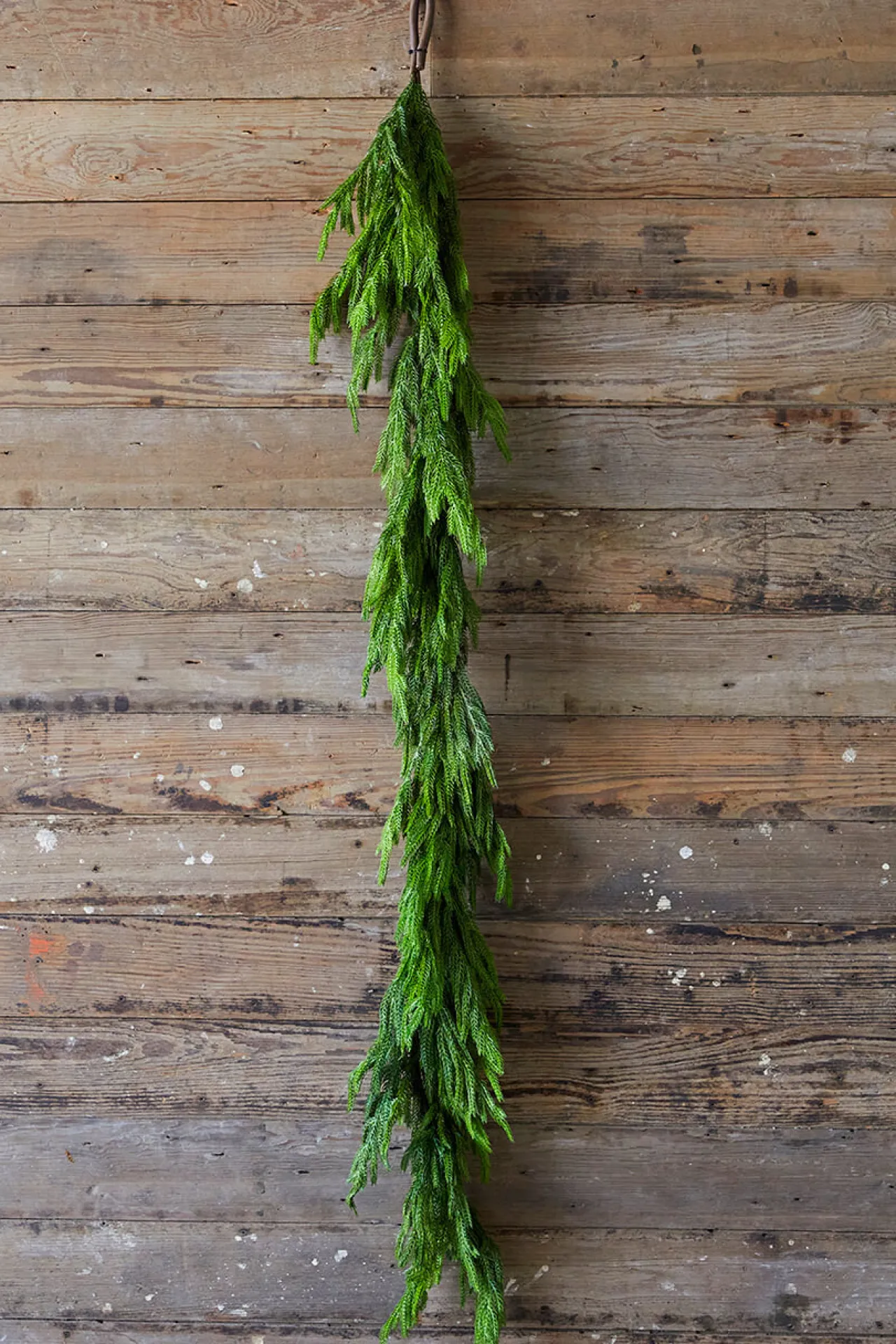 Shop 72” Real Touch Norfolk Pine Garland Christmas Garlands|Natural Greenery