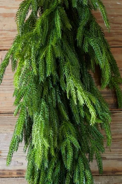 Best Sale 36” Real Touch Norfolk Pine Teardrop Christmas Teardrops|Natural Greenery