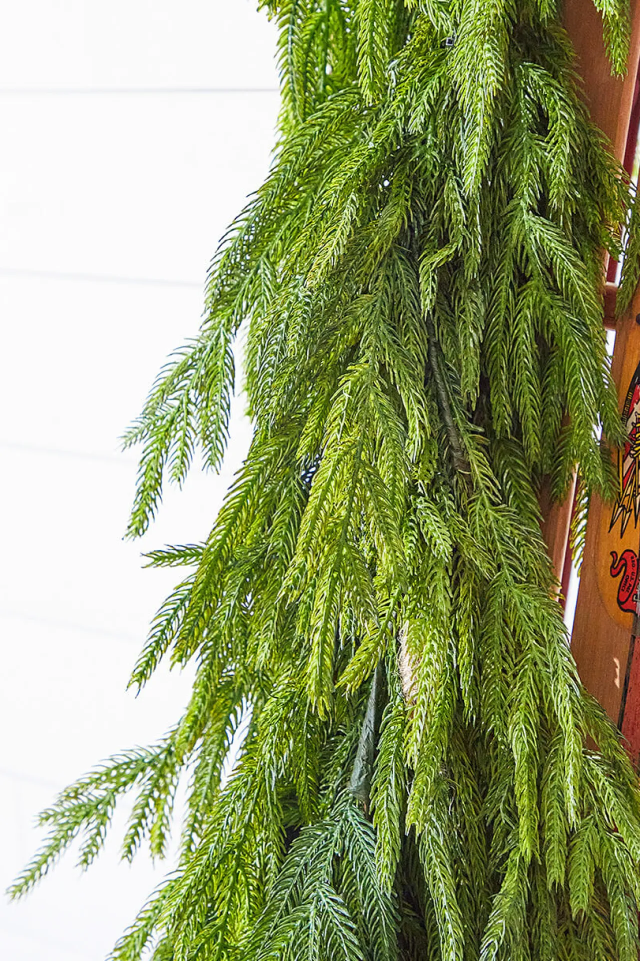 Online 47" Real Touch Norfolk Pine Dripping Garland Christmas Garlands|Natural Greenery