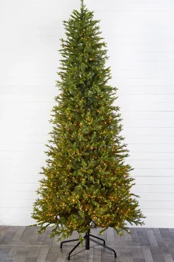 Online 10' Slim Southern Fir With 2000 3mm Lights Christmas Trees|Christmas Trees