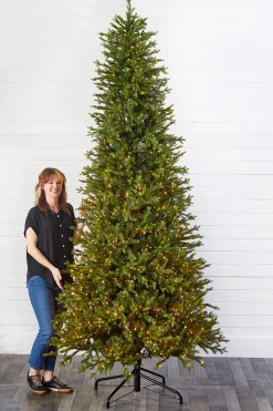 Online 10' Slim Southern Fir With 2000 3mm Lights Christmas Trees|Christmas Trees