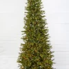 Sale 9' Slim Southern Fir With 1500 3mm Lights Christmas Trees|Christmas Trees