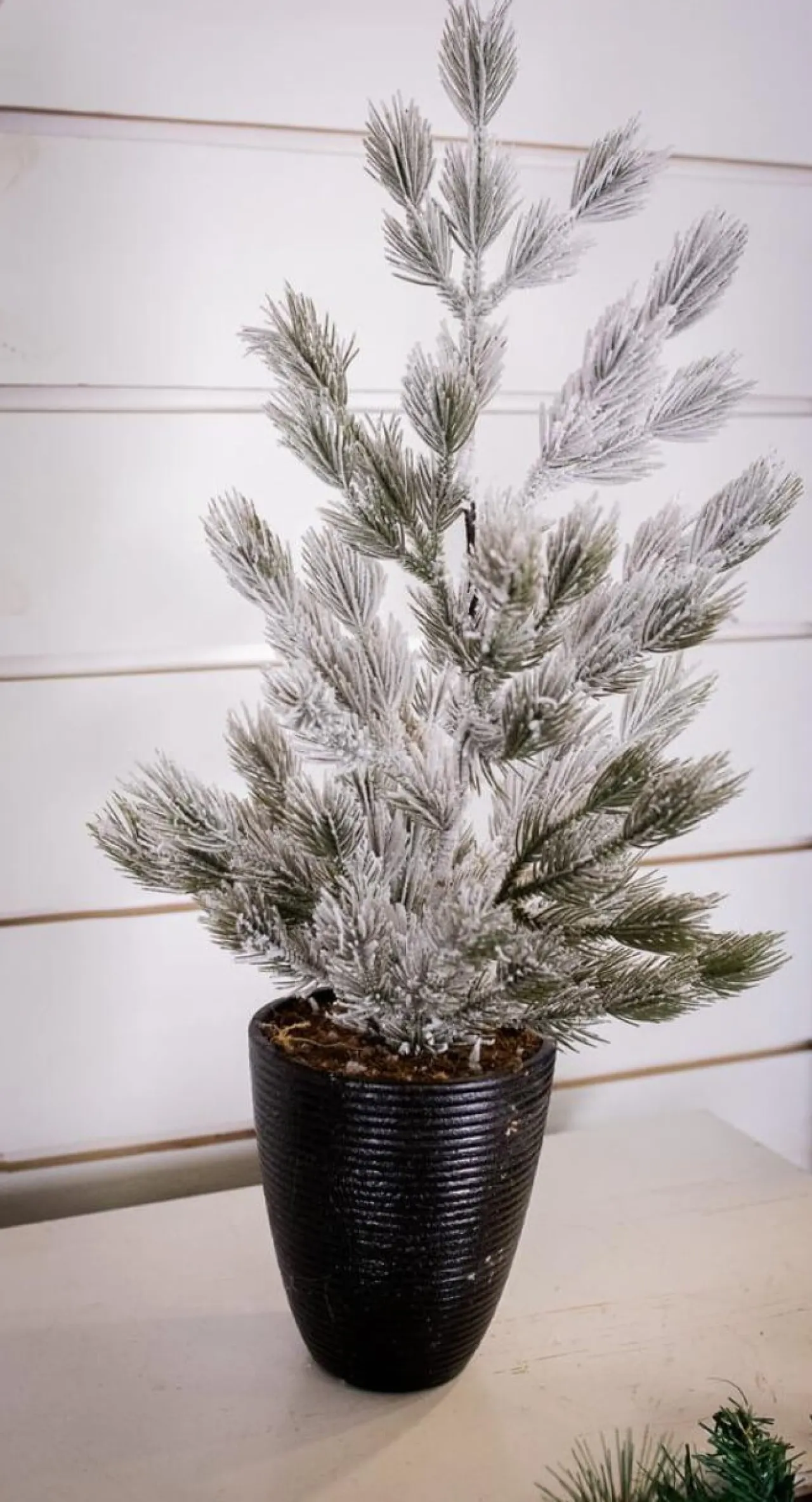 Cheap 24" Snow Tree In Black Container Christmas Accents