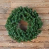 Fashion 36” Unlit Norway Pine Wreath Wreaths|Christmas Wreaths