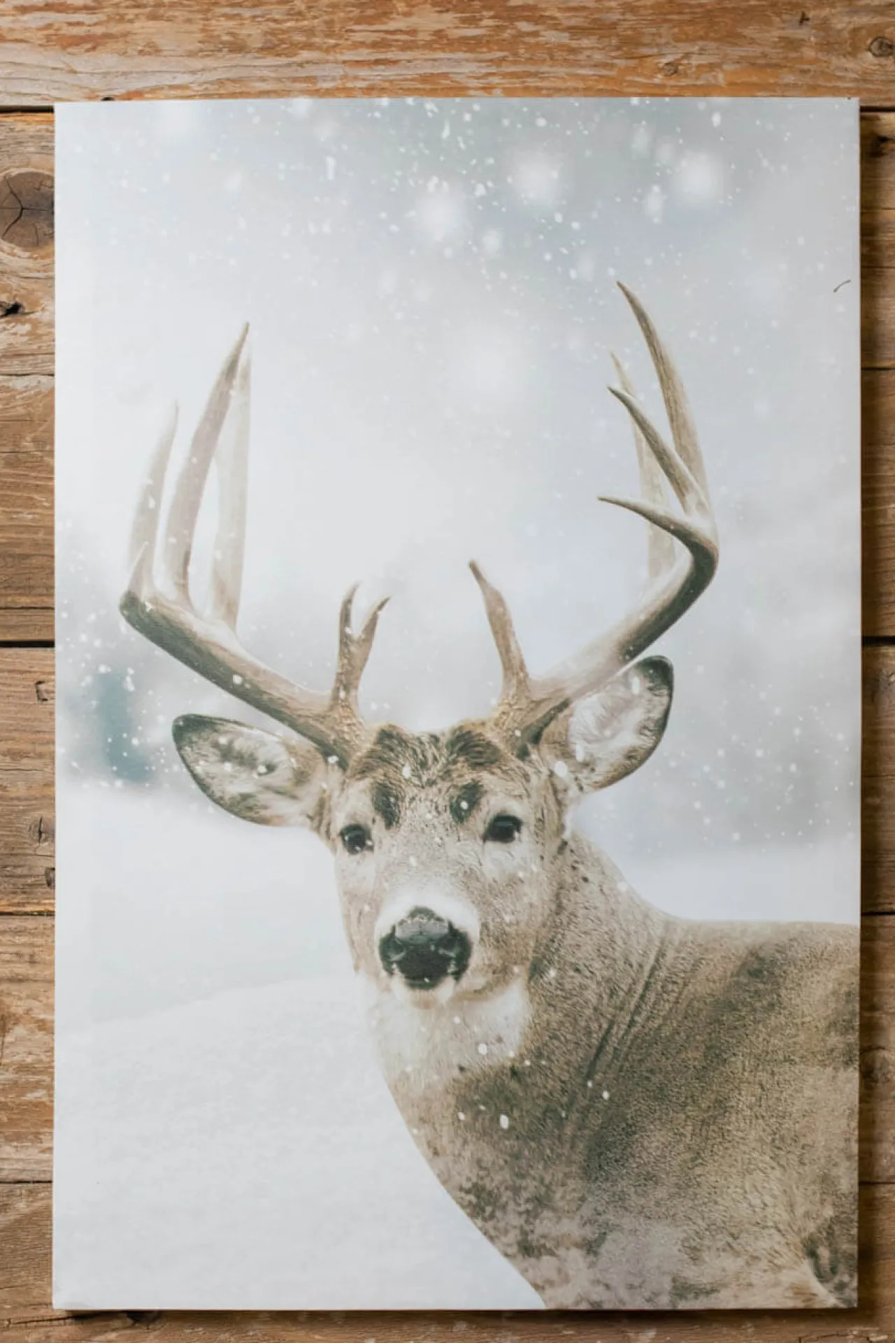 Clearance 16 X 24” Buck Deer In Snowy Field Print Christmas Accents