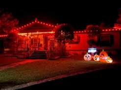 Fashion C9 Wonderful LED SMD Bulb (25 Bulbs/bag) - Faceted, Orange Bulbs|Outdoor Lighting