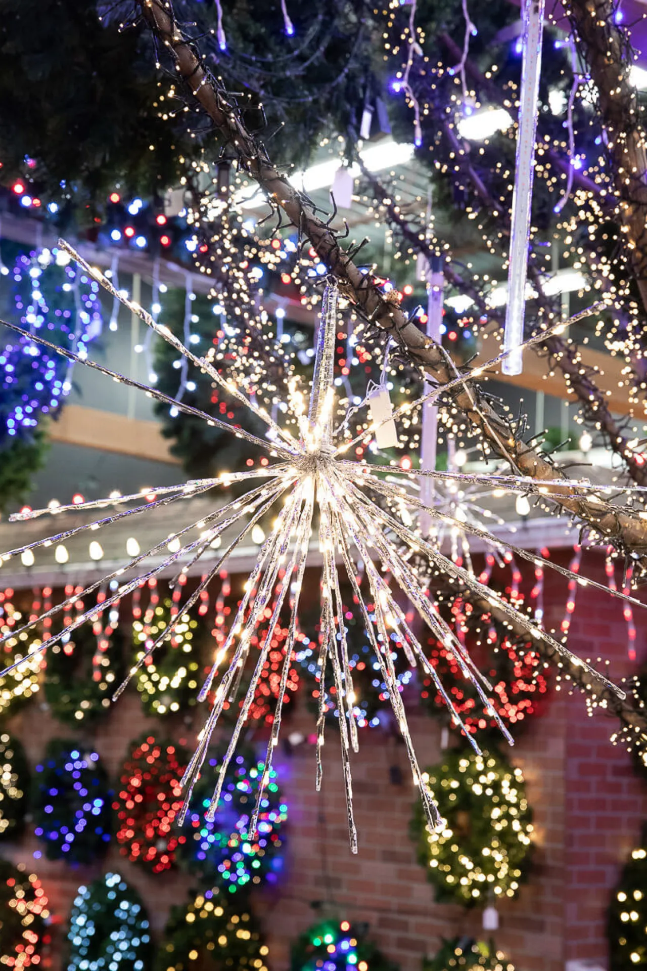 Fashion LED Umbrella Display - 180L Twinkle Lights|Indoor Lighting