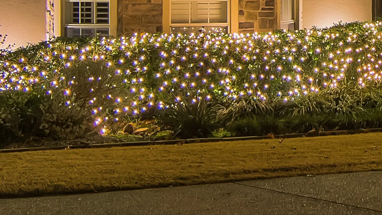 Store Net Warm White - 5mm 100L 4'x6' Light Strands|Outdoor Lighting